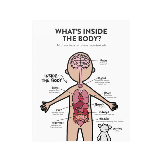 What's Inside the Body?